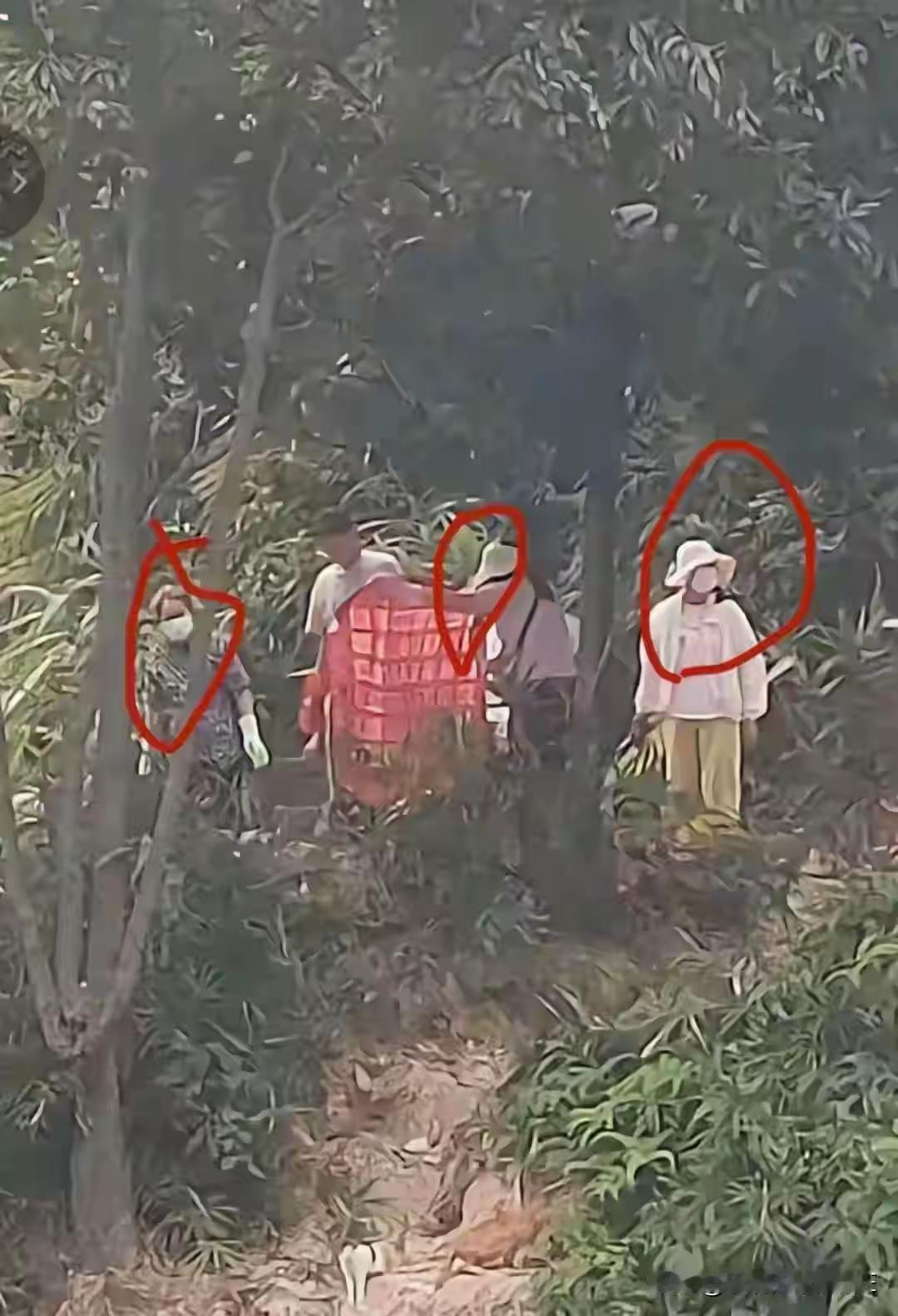 把猫放生水库，与其说这些人是蠢，不如说是坏愚蠢的坏。
    抽血流浪猫的事件还