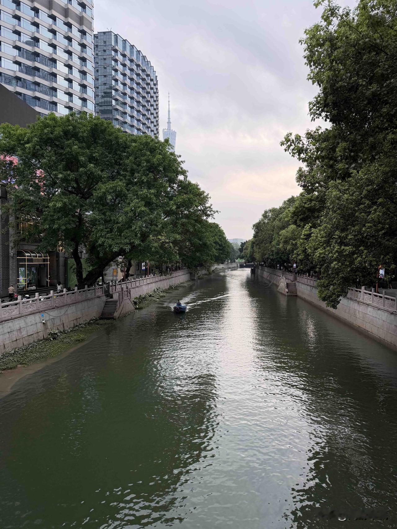 分享一下你随手拍的照片连续几天的春雨、终于放晴了！春雨美拍
