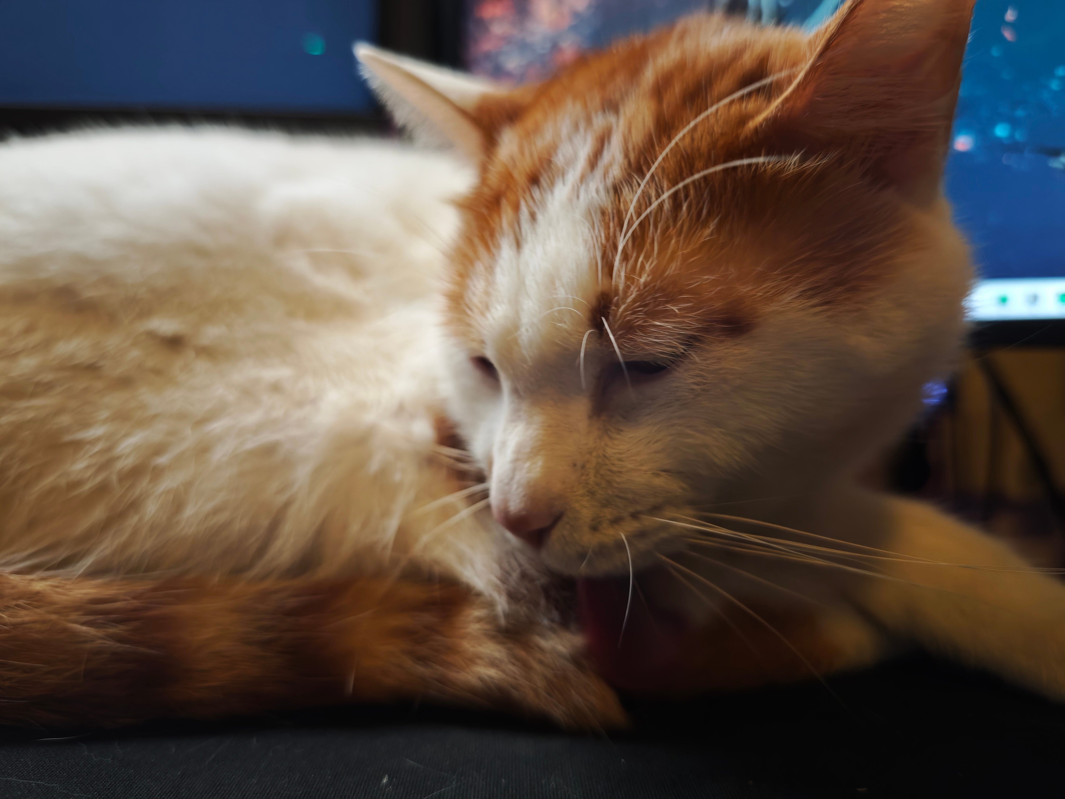 研究了一下买不起的车SU7 Ultra，它的尾翼要是再大一倍购买力估计还能再上上