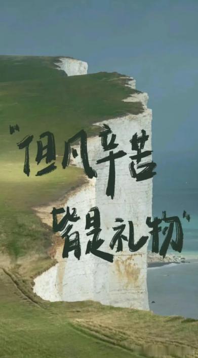 不必抱怨眼下的疲惫，但凡辛苦，皆是礼物。那些咬牙坚持的时光，终会变成你人生里最珍