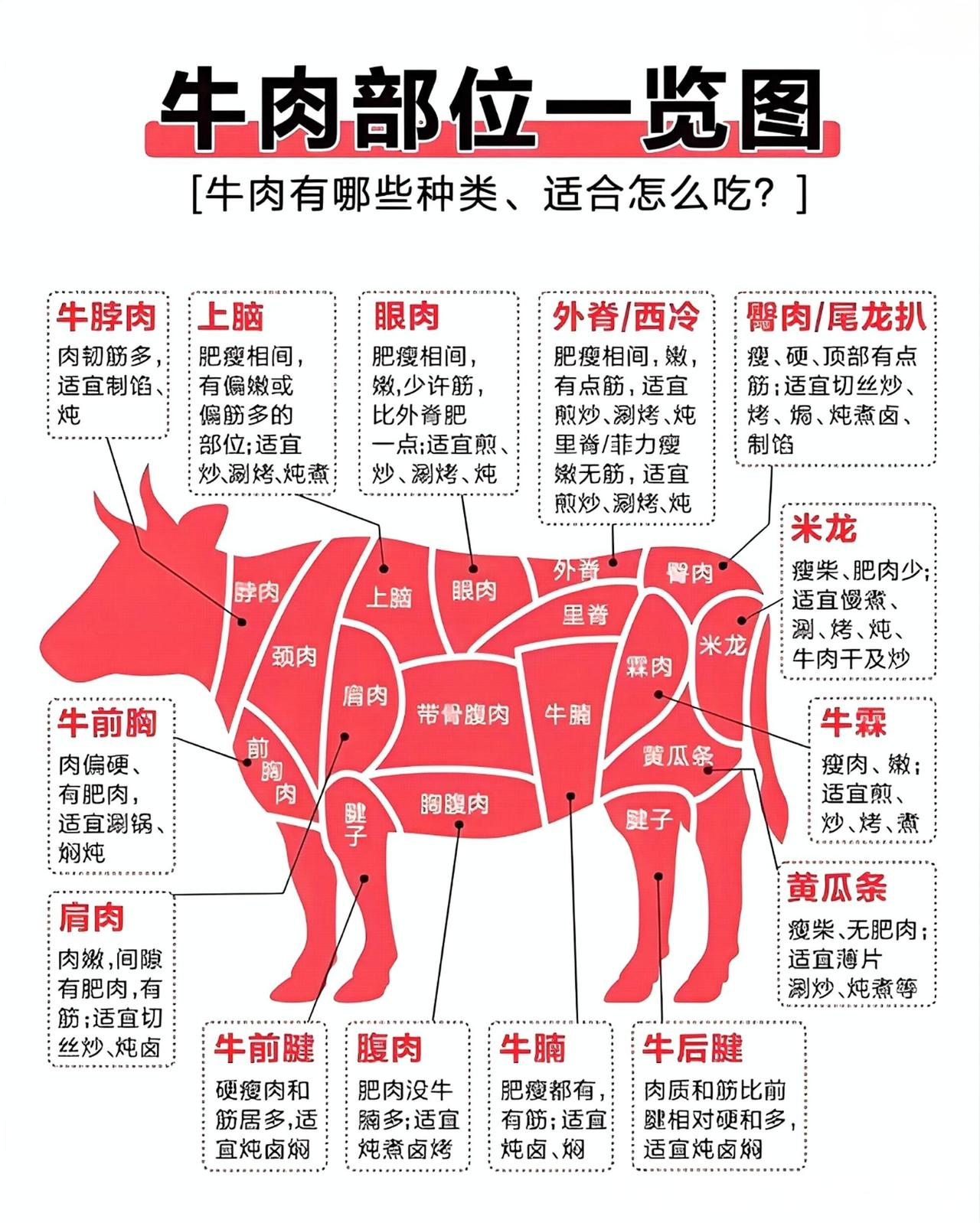牛肉部位不同，肉质、口感差异显著，适配的烹饪方式也各不相同。

里脊（牛柳）是牛