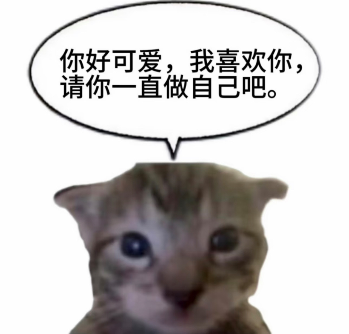 分享图片 