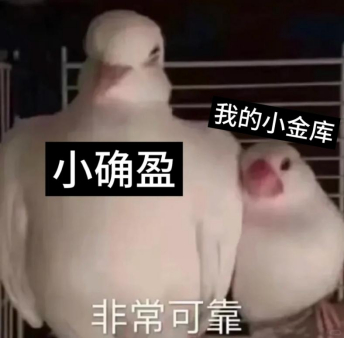 第一批五一寄养钱的人出现了 相比于把猫猫寄养在别人家各种不放心，小钱钱放进银行理