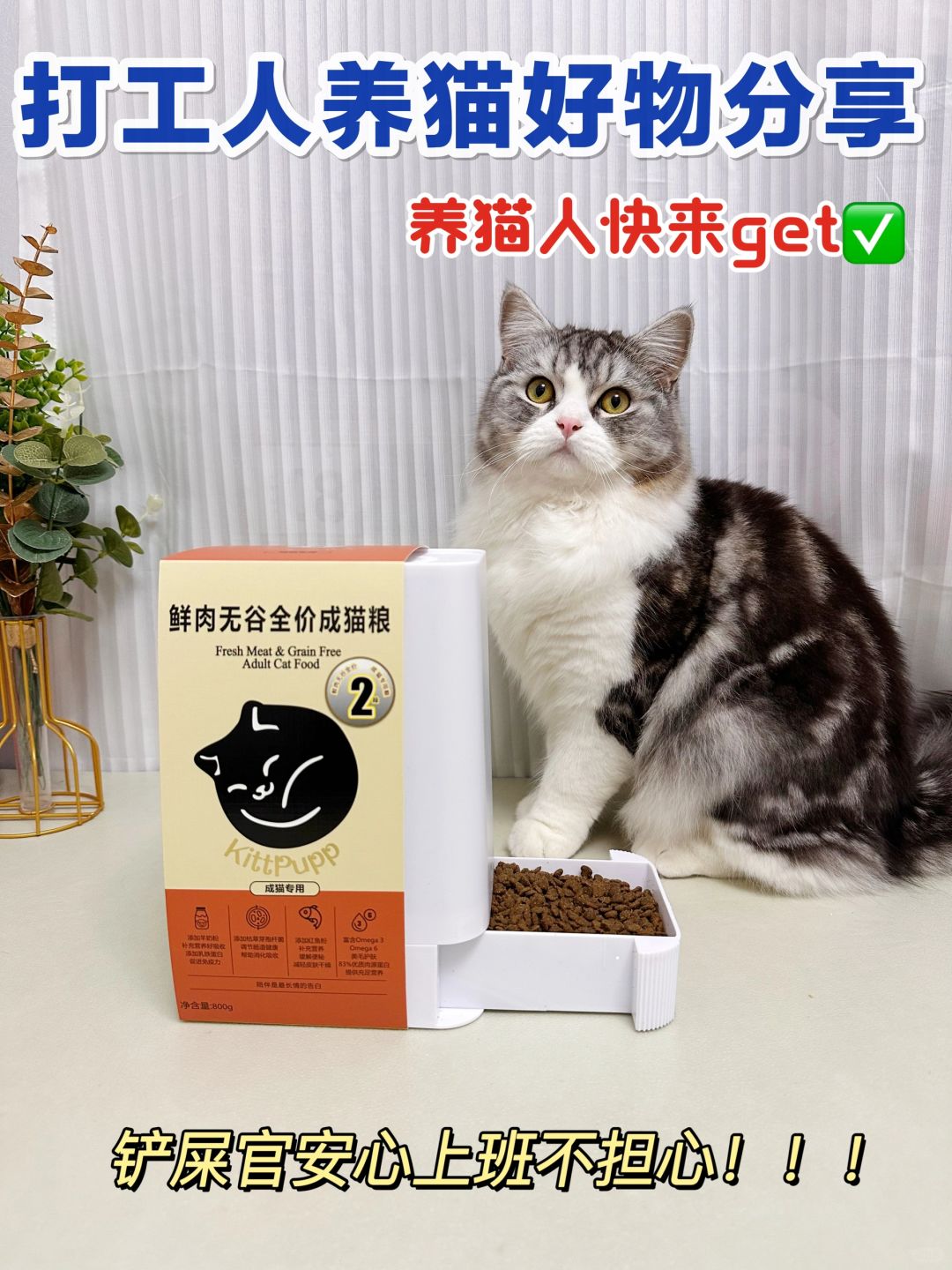 让我看看👀还有哪个养猫人没有入⁉️