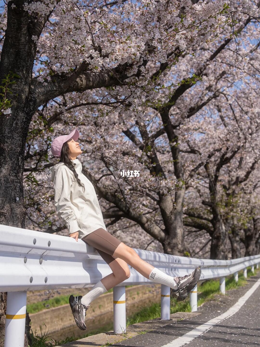 那一刻，是属于奈良的秒速五厘米🌸