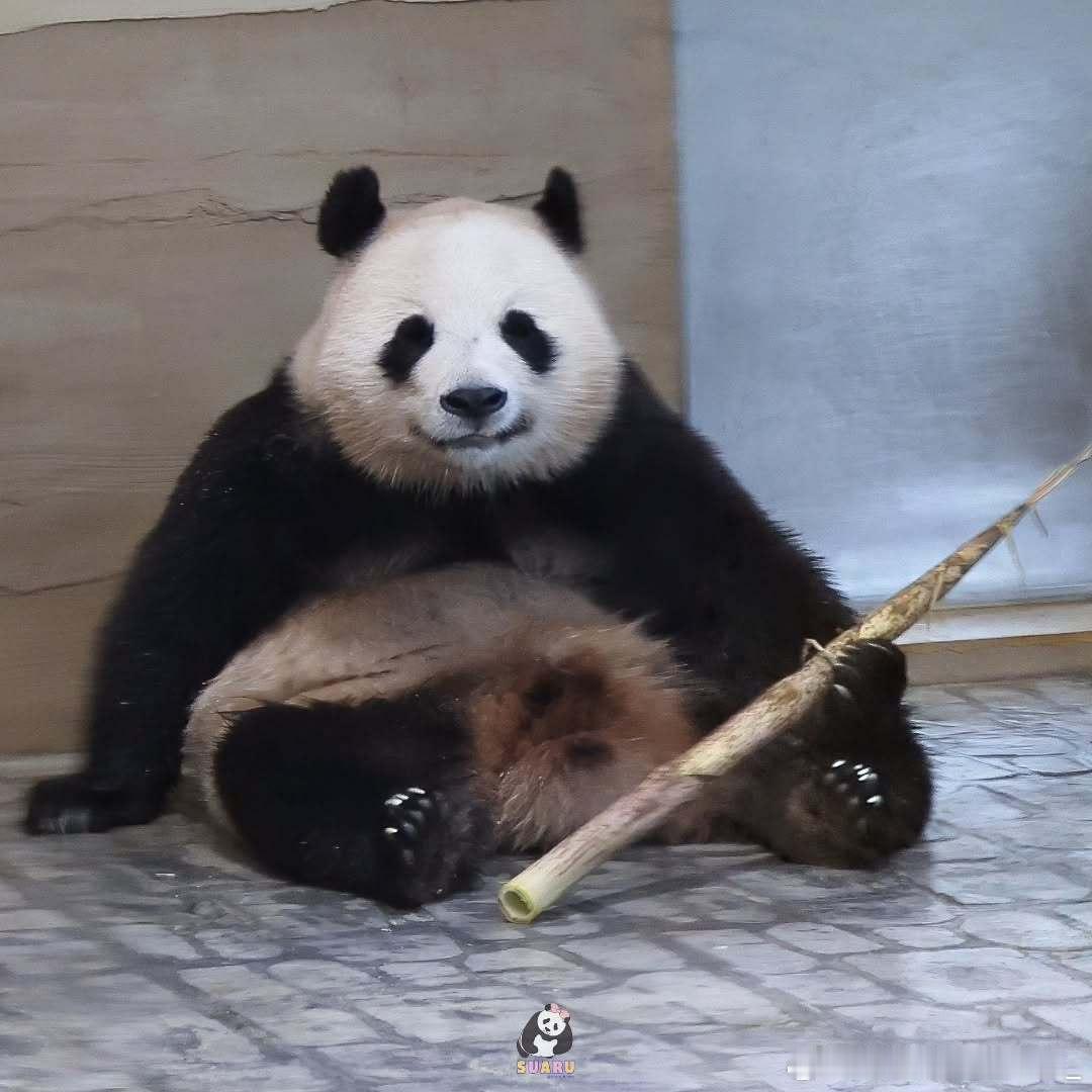 每天早起打卡早上好～ 