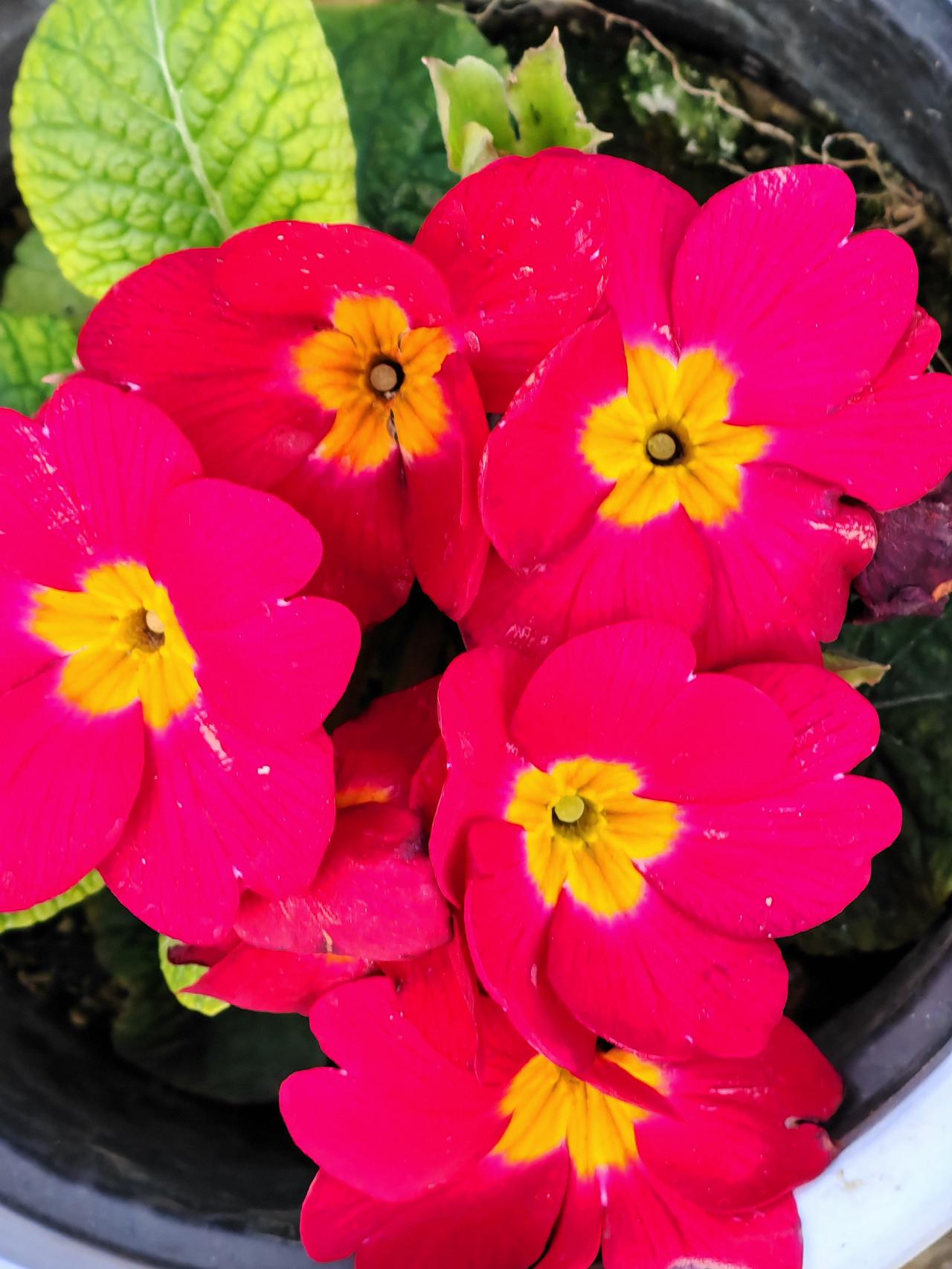 一、没有欠款。 
二、夫妻仍是原配。 
三、后代皆是亲生。 
四、夫妻生活和睦。