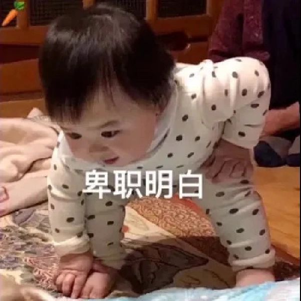 表情包｜一波抽象好玩表情包[偷笑][偷笑]   