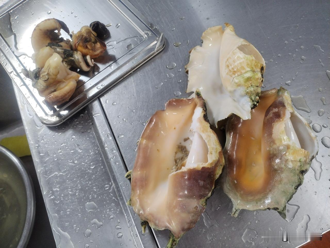 好东西，南海八爪螺，刺身味道真不错，肉虽然好吃，只是可惜了美丽的外壳。