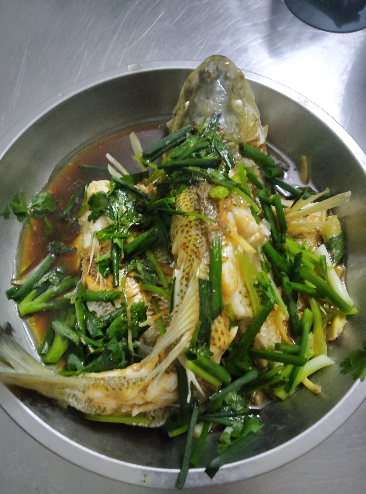 今天做了条清蒸鱼，看着葱段香菜铺在油亮的鱼身上，突然觉得生活就像这道菜。不用复杂