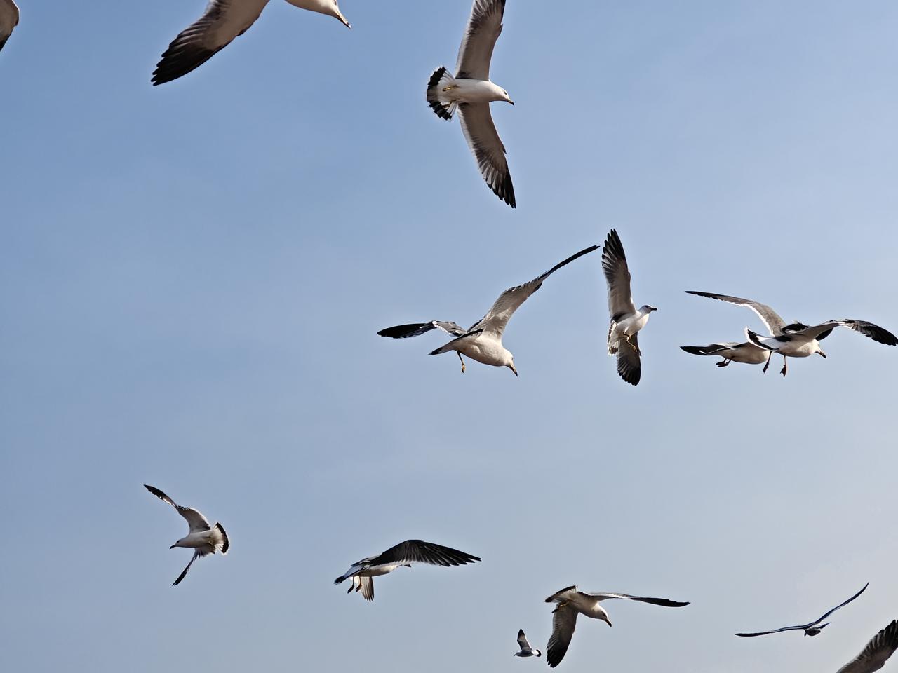 现在有许多人信佛，包括我周围也有朋友相信，他们有的人，不论到各地旅游观光，还是因