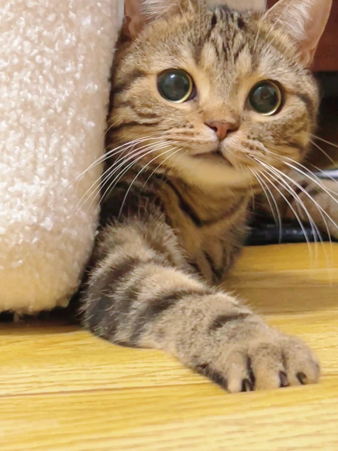 看她的样子就知道是个乖乖女。