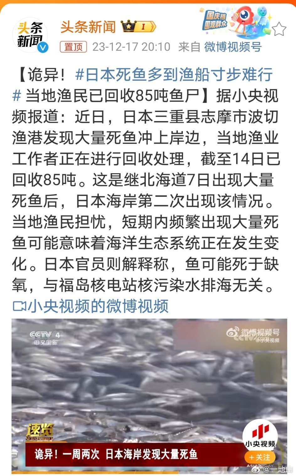 #日本死鱼多到渔船寸步难行#与核污水排海无关，谁信啊！[怒] ​​​