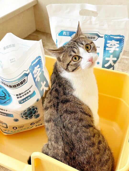 家里有猫猫的可以冲一冲‼️