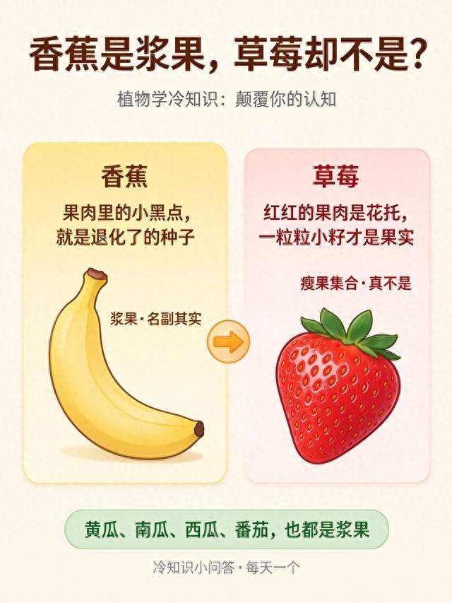 为什么香蕉是浆果，草莓却不是？
