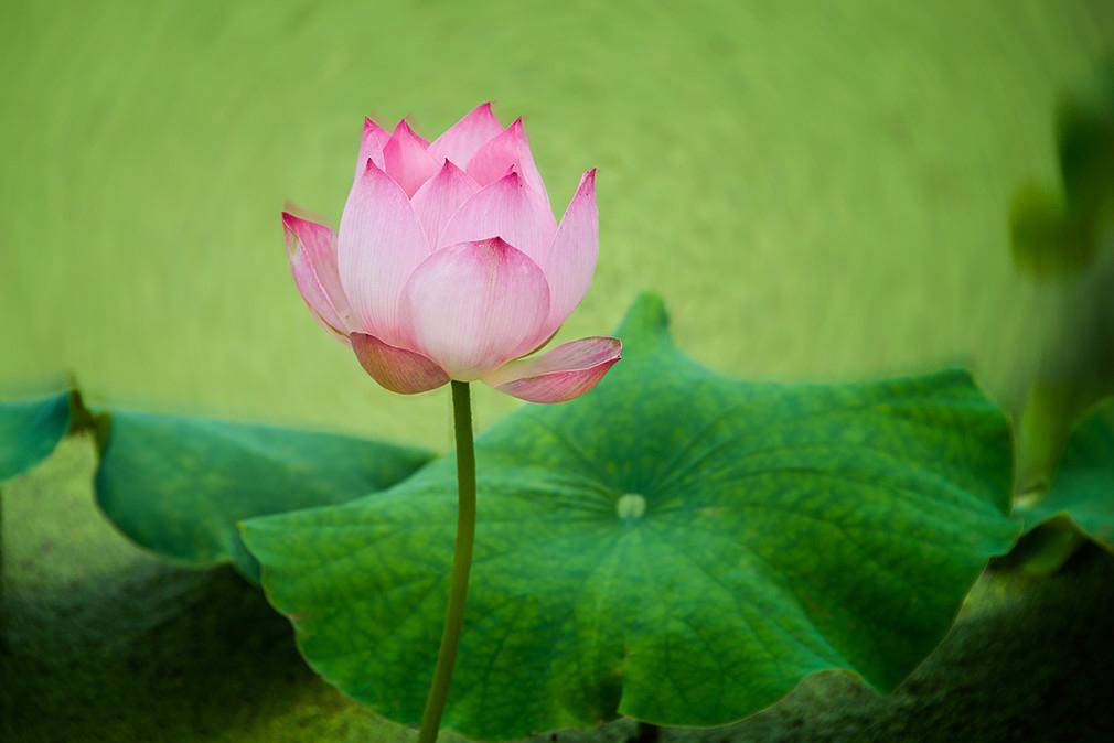 有人说，因为你是做培训的，所以你希望所有的孩子周末都双休，这样的话都到你家来上课