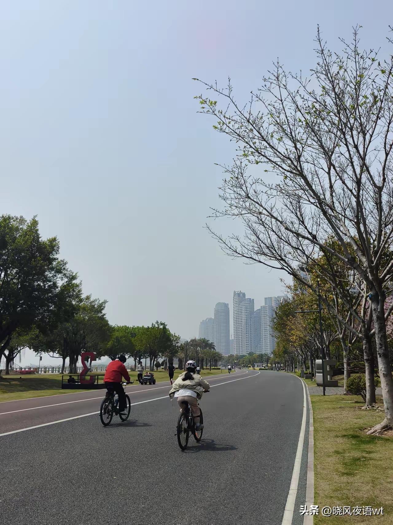 我决定今年开始不参与“扫墓”了！

刚弟弟打电话过来，问什么时间扫墓方便，我回答