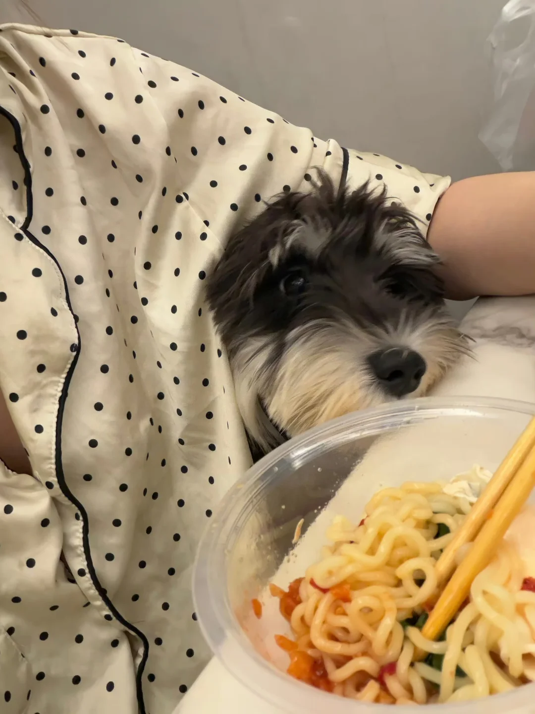 今天吃什么🍜