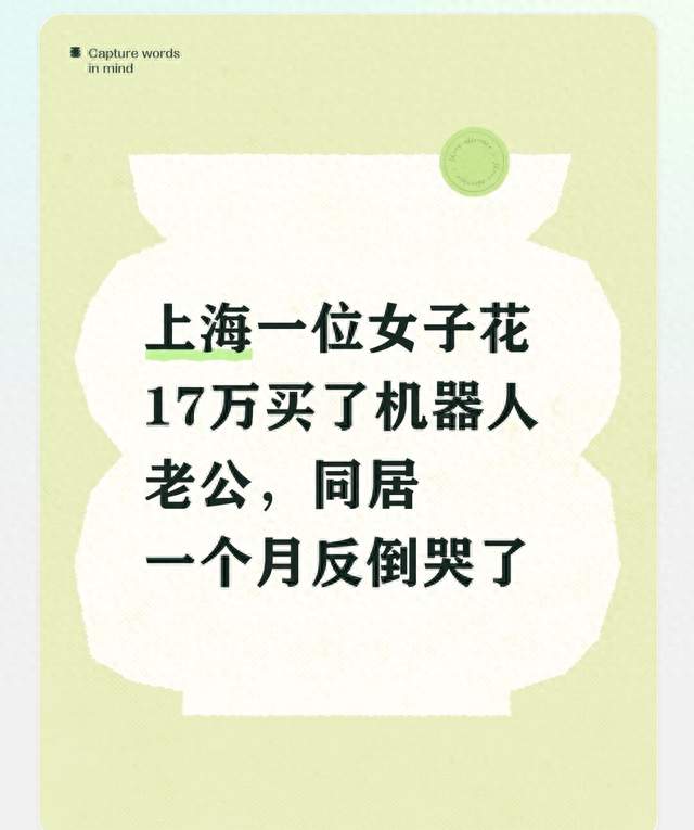 上海一位女子花17万买了机器人老公，同居一个月反倒哭了
