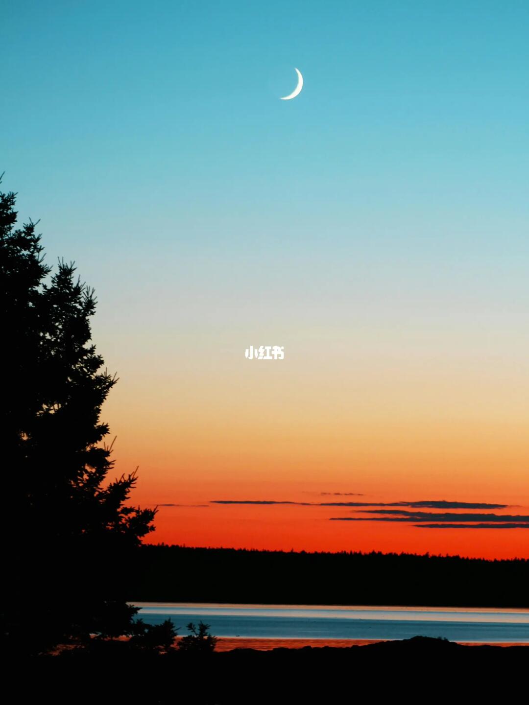 看看不加𝒕𝒂𝒈会不会推给INFP