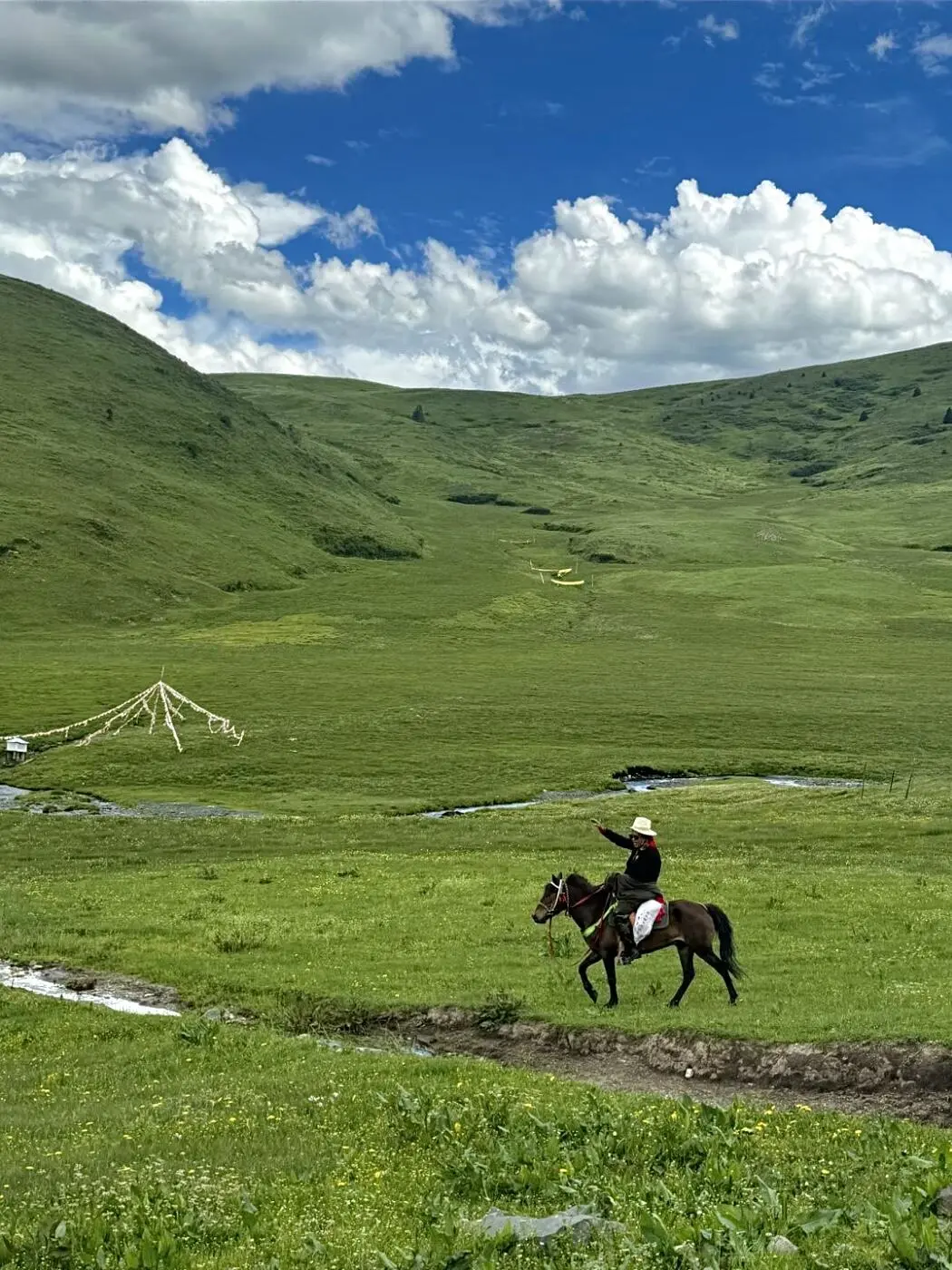川西已经来了无数次了😏