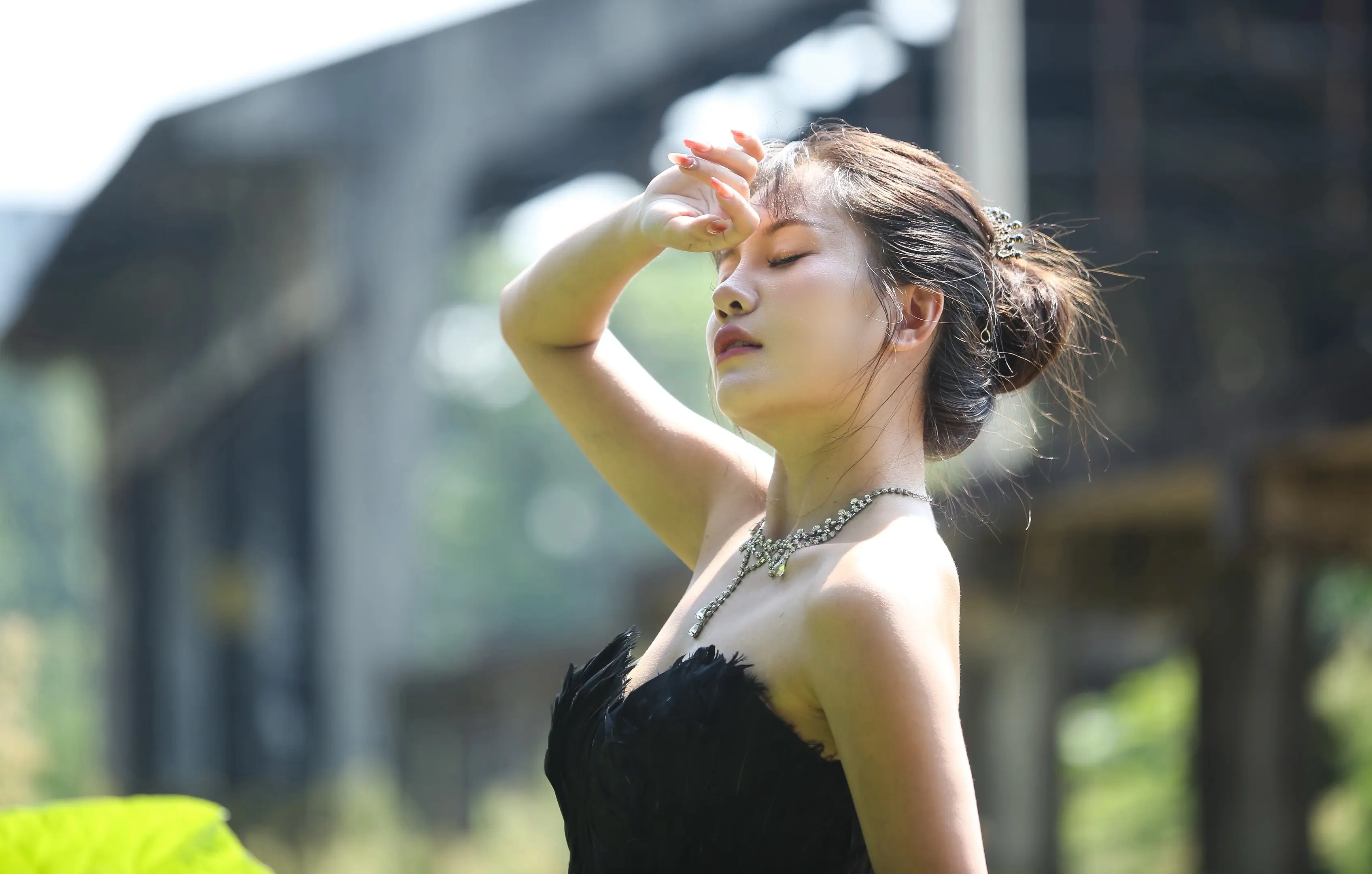 穷极一生 只为找到一双为我流泪的眼睛和永不放弃的手黑天鹅