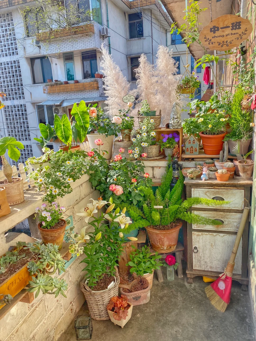 居住趋势｜我的冬日阳台比春天还美