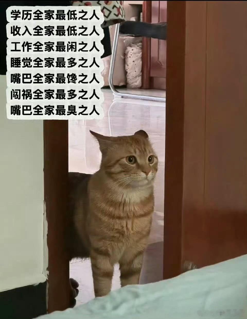 论建模的重要性 