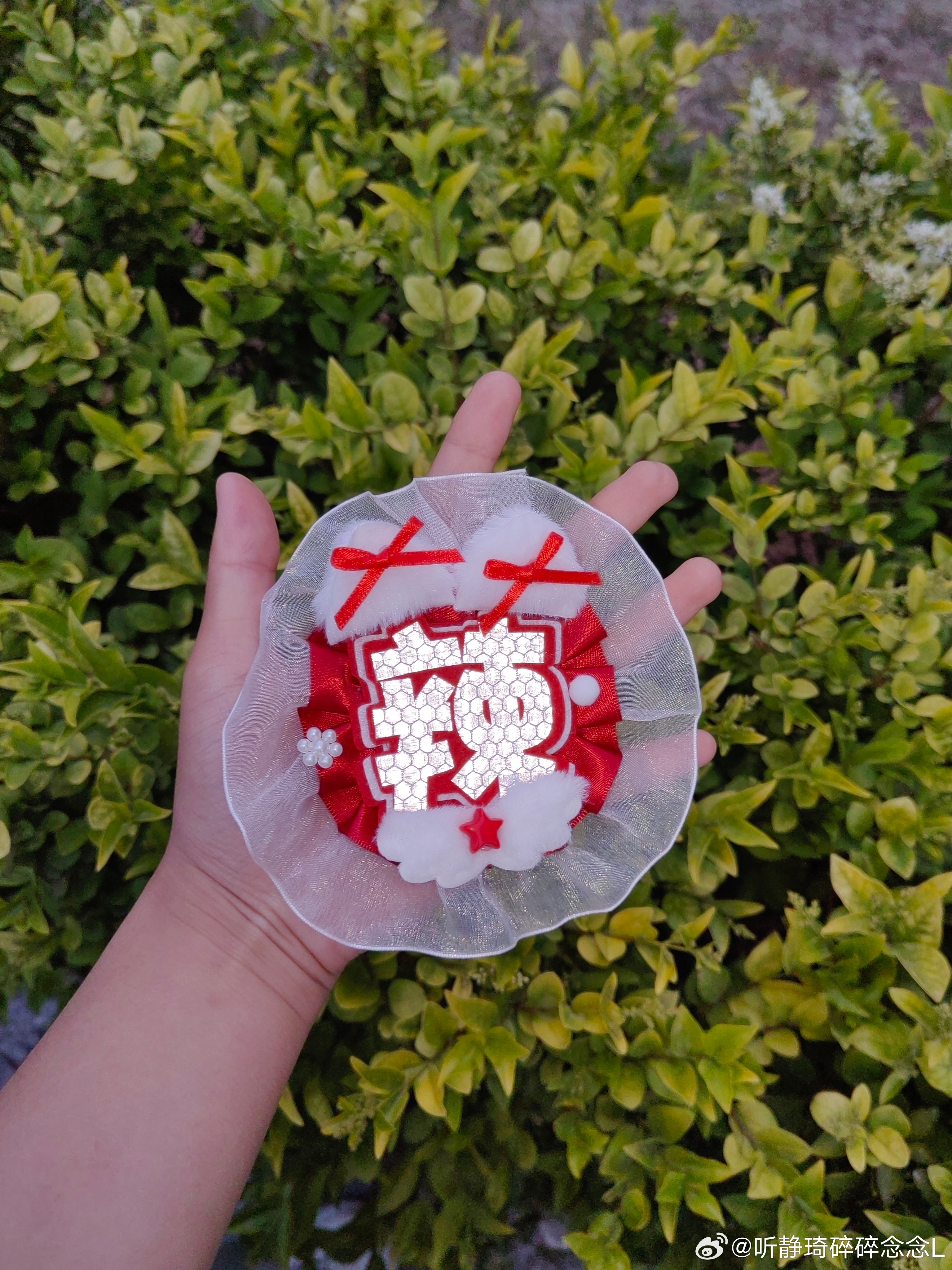 小辣李嘉琦[超话]辣谢话 感恩日记：1️⃣定制了一个 辣的名牌 ！辣辣🌶2️⃣