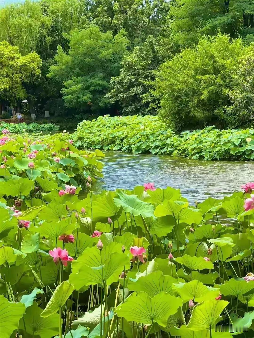 人活着，别对家人做这五件糊涂事
 
第一，别用指责代替体谅。
家人在外受挫、遭遇
