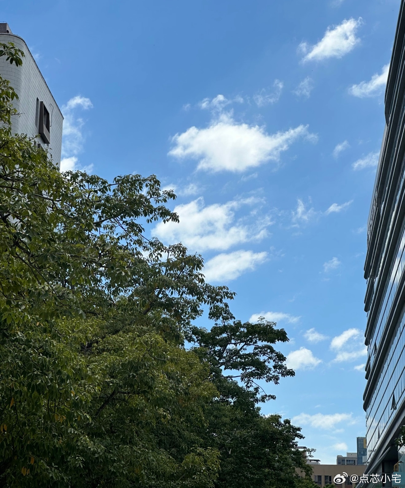台风 虽然我没怎么经历过，但是这种恶劣天气刮风下雨是真的吓人，这次看来也很严重，
