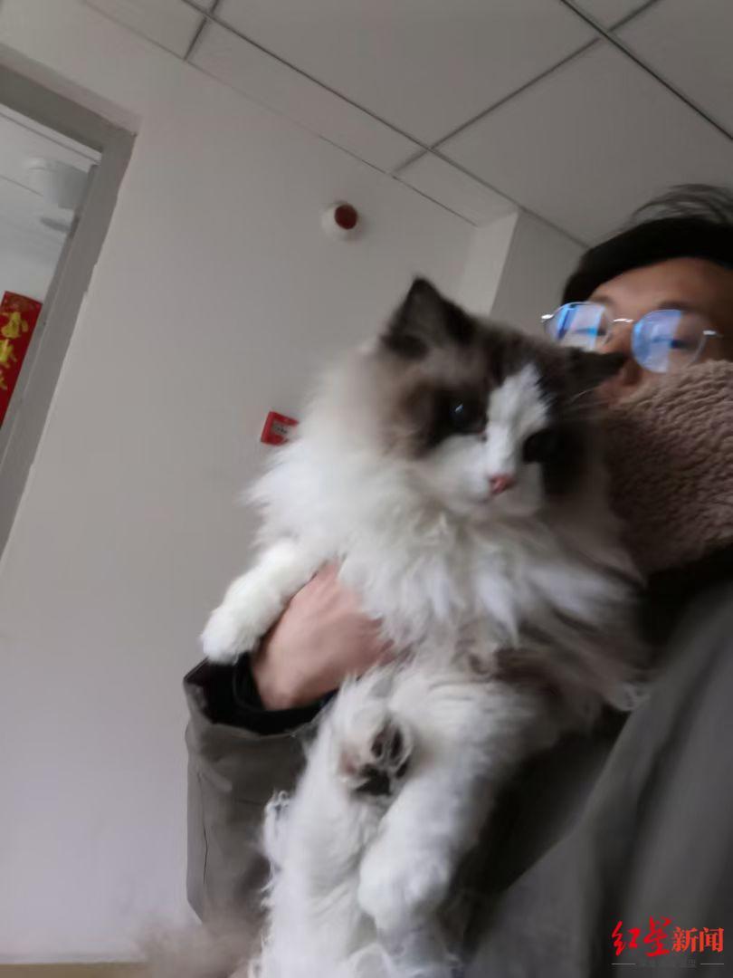 【#宠托师春节上门喂宠日薪近千#】春节期间，当众多游子归家团圆之时，独自留守在城