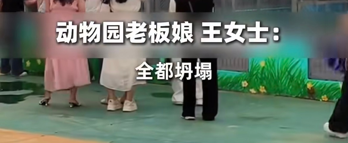 贵港动物园被淹3只狮子溺亡这次广西受灾真的好严重，动物们也好可怜…希望这次洪灾快