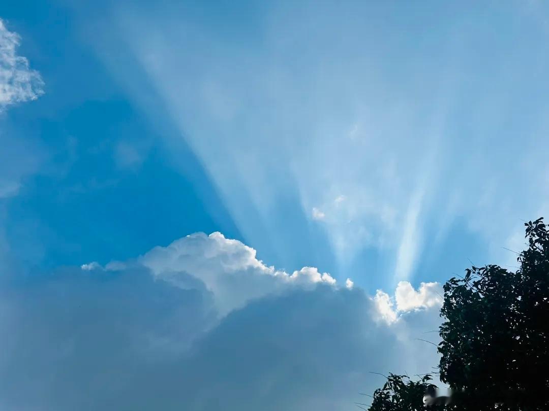 据《参考消息》，美国做过一个实验，给一部分65岁到80岁之间正常死亡的老人，做尸