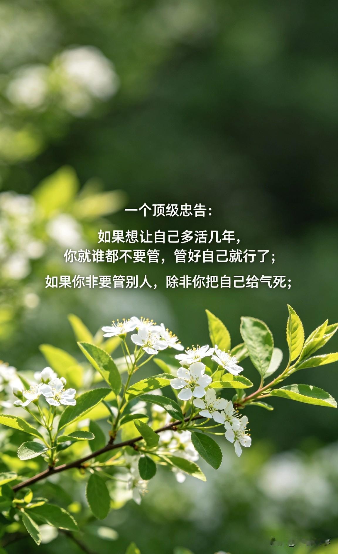 一个顶级忠告：如果想让自己多活几年，你就谁都不要管，管好自己就行了；如果你非要管