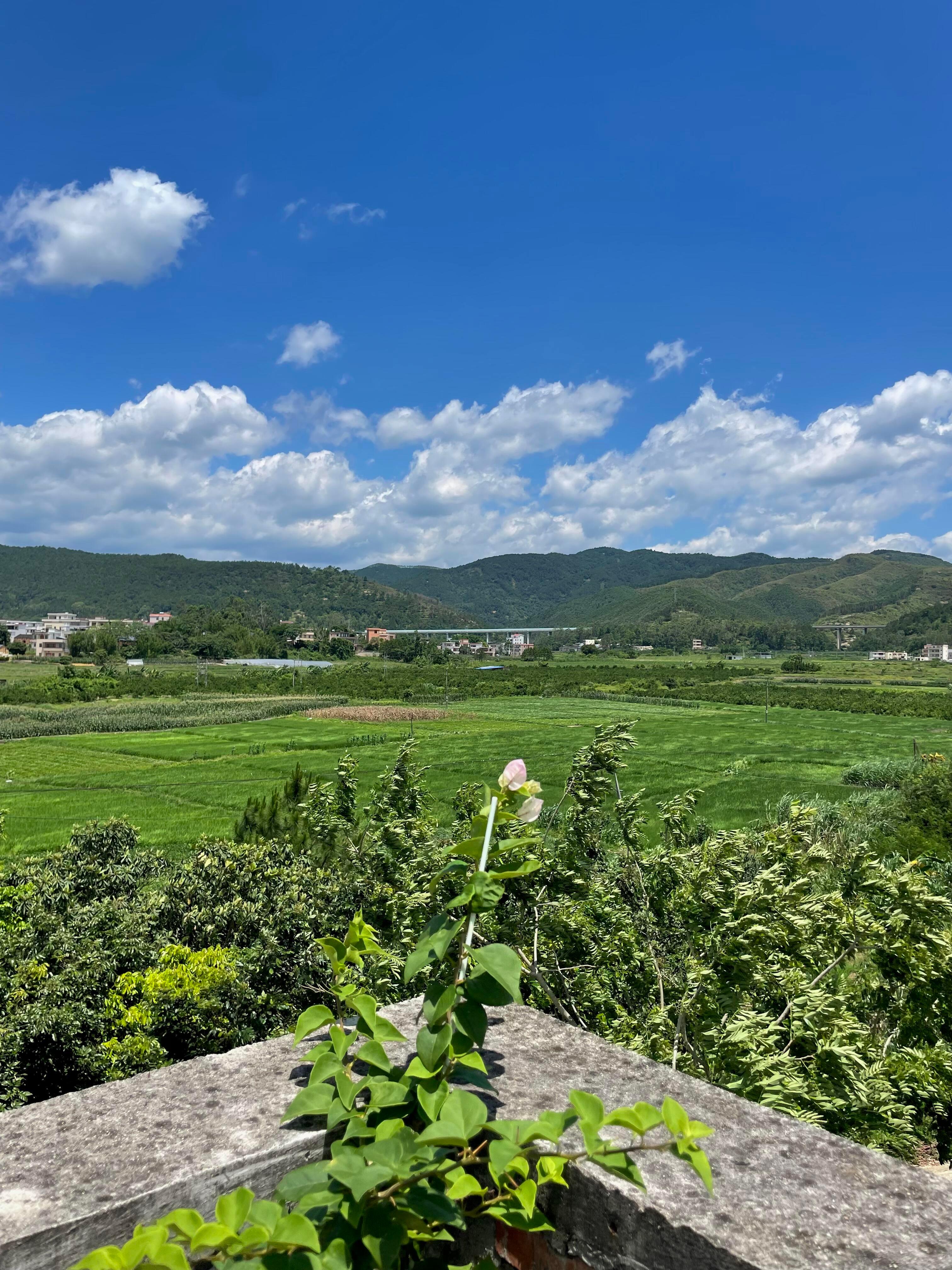 乡村生活,平淡且耐看。 