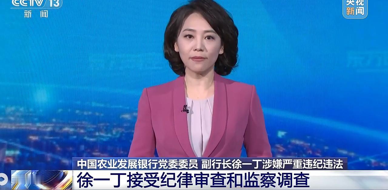 中国农业发展银行副行长徐一丁被查，令人拍手称快。可以看得出来，最近一段时间，很多