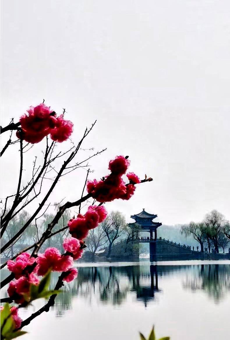 北京的春天很美，到处鸟语花香，一片生机勃勃的景象。要说北京春天最美的地方还是颐和