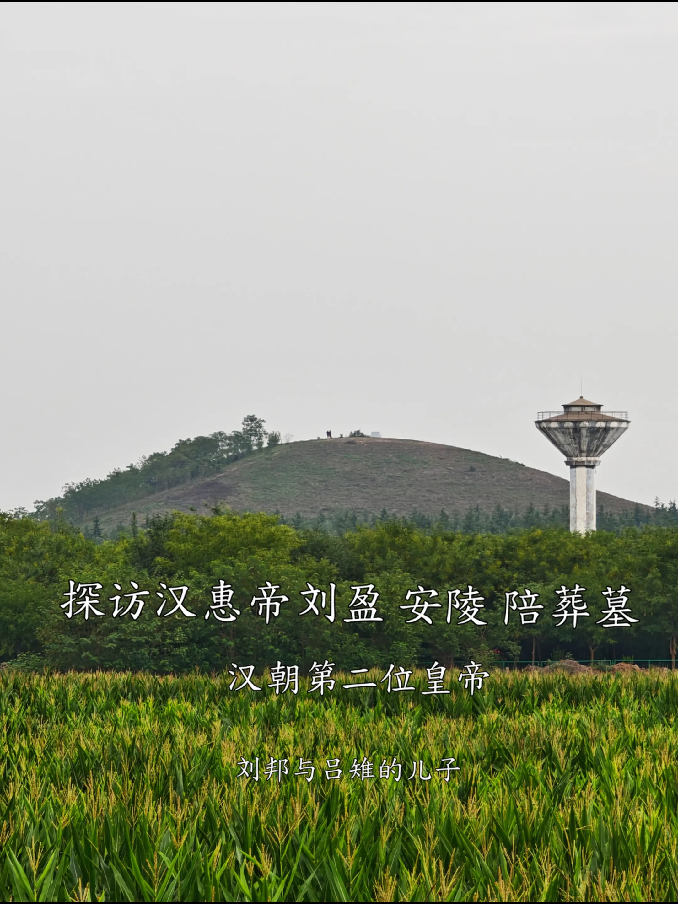 探访汉朝第二位皇帝汉惠帝刘盈安陵的陪葬墓 安陵陪葬墓名单有：张嫣、鲁元...