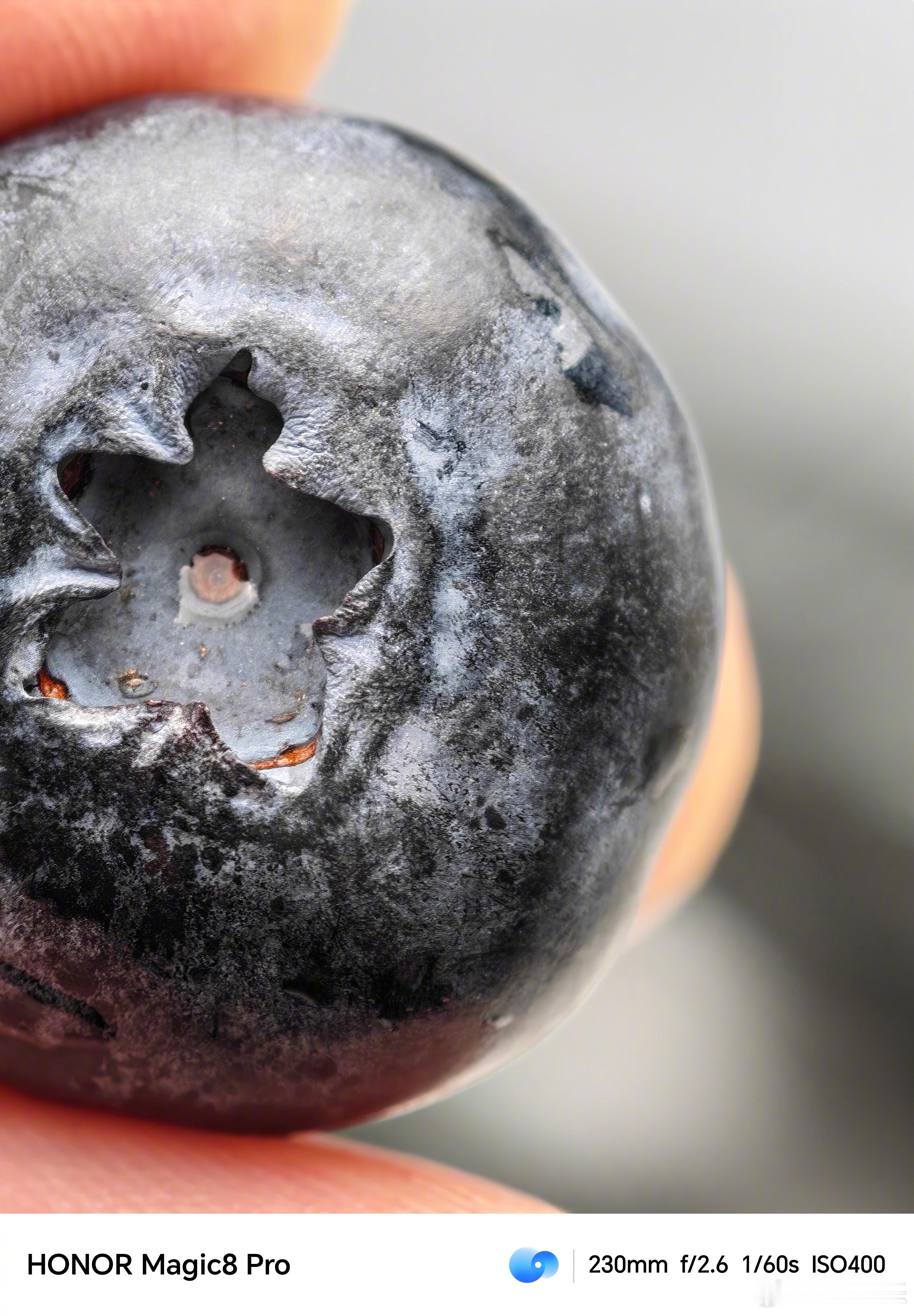 用荣耀Magic8 Pro拍摄了一张蓝莓的微距照片，实际上这颗蓝莓的直径也就1c