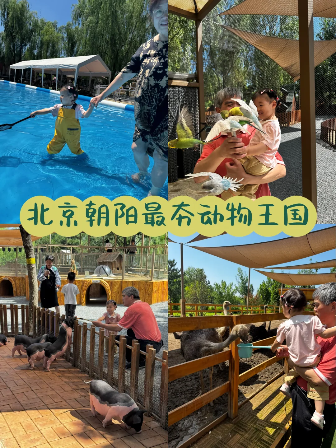 北京朝阳遛娃宝地｜Zooland动物王国