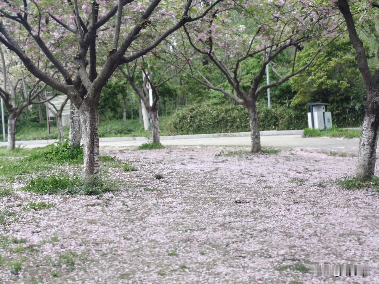 我现在每天拍一段抖音记录自己的生活，对着手机讲述自己一天干了些什么事，就两三分钟