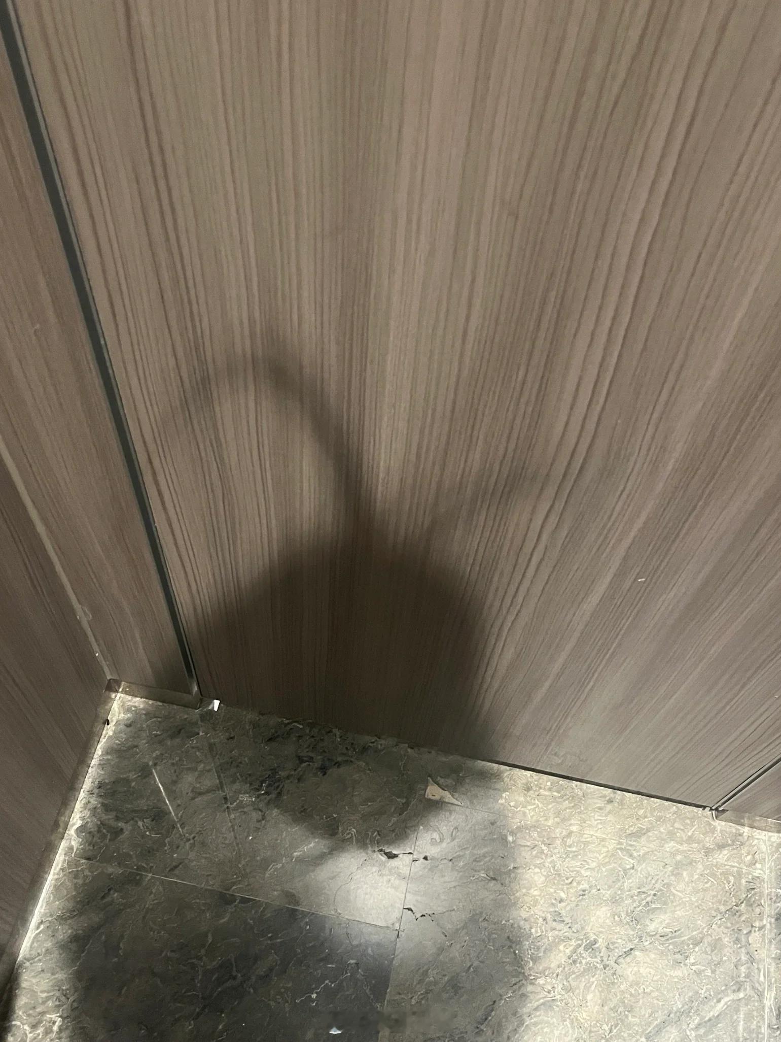 上个厕所一抬头发现自己变成了美洲大蠊 ​​​