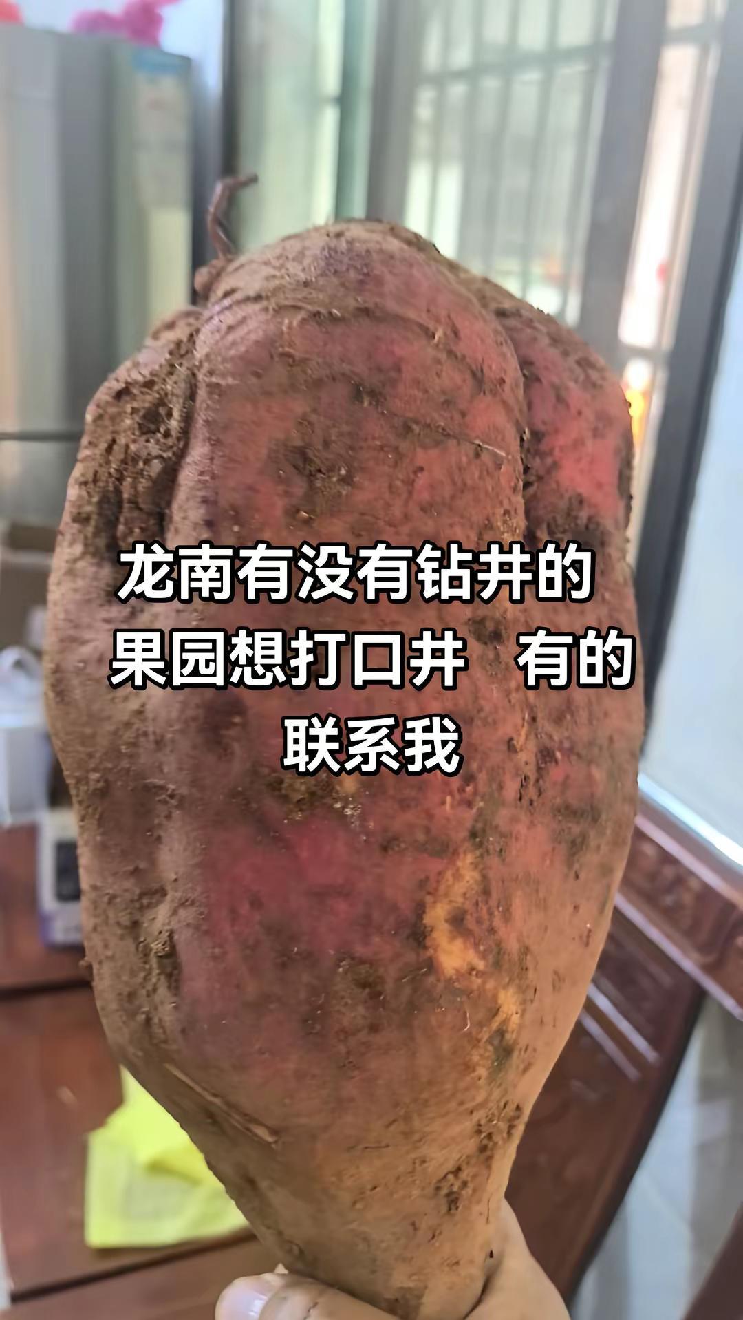 钻井