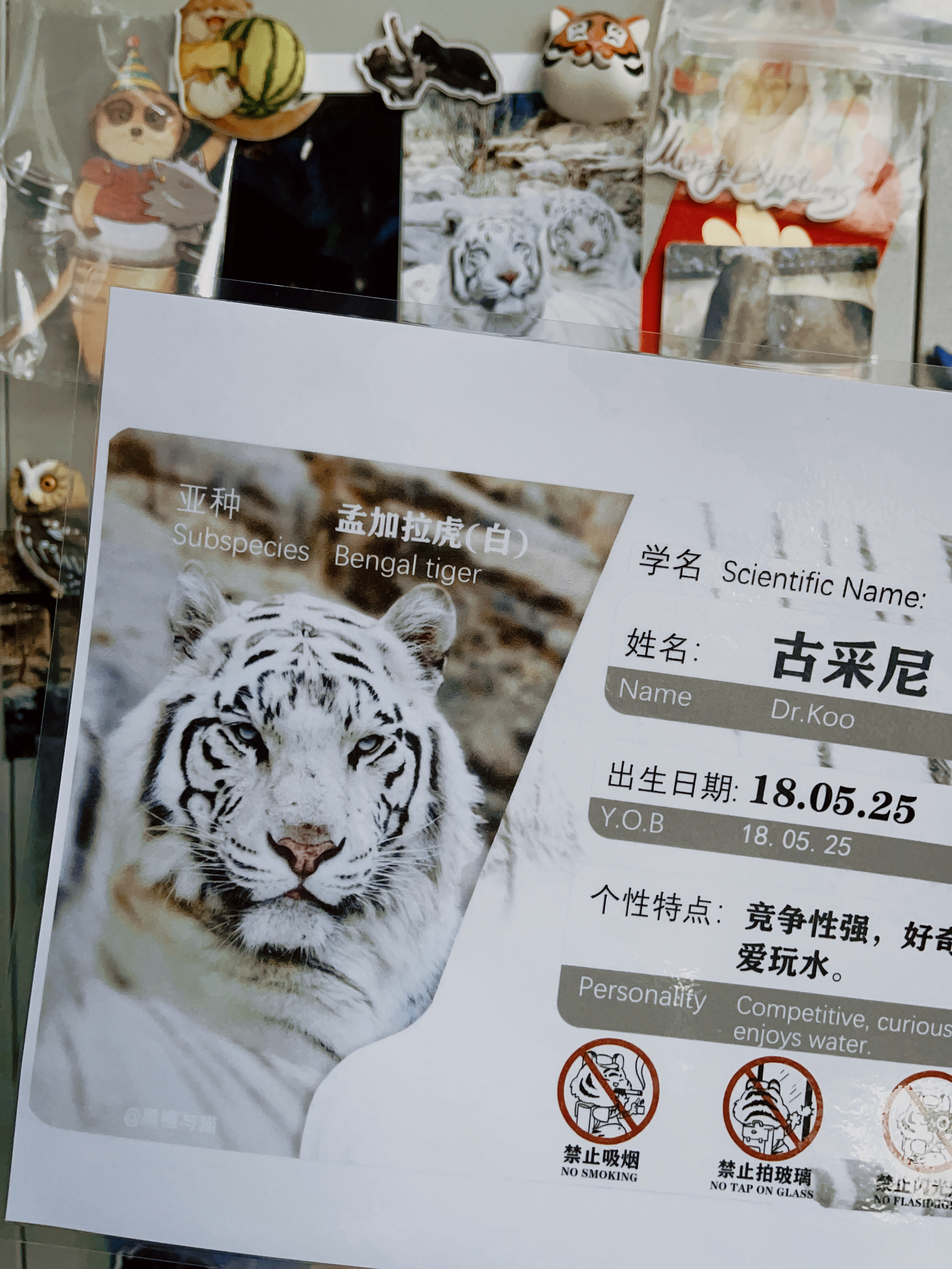 一些信息牌小更新。拍摄见水印，设计by左师傅yyds！  ​​​