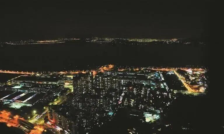 原来，深圳湾公园地处全球九大候鸟迁徙路线之一的东亚-澳大利西亚迁飞线的中点，这片