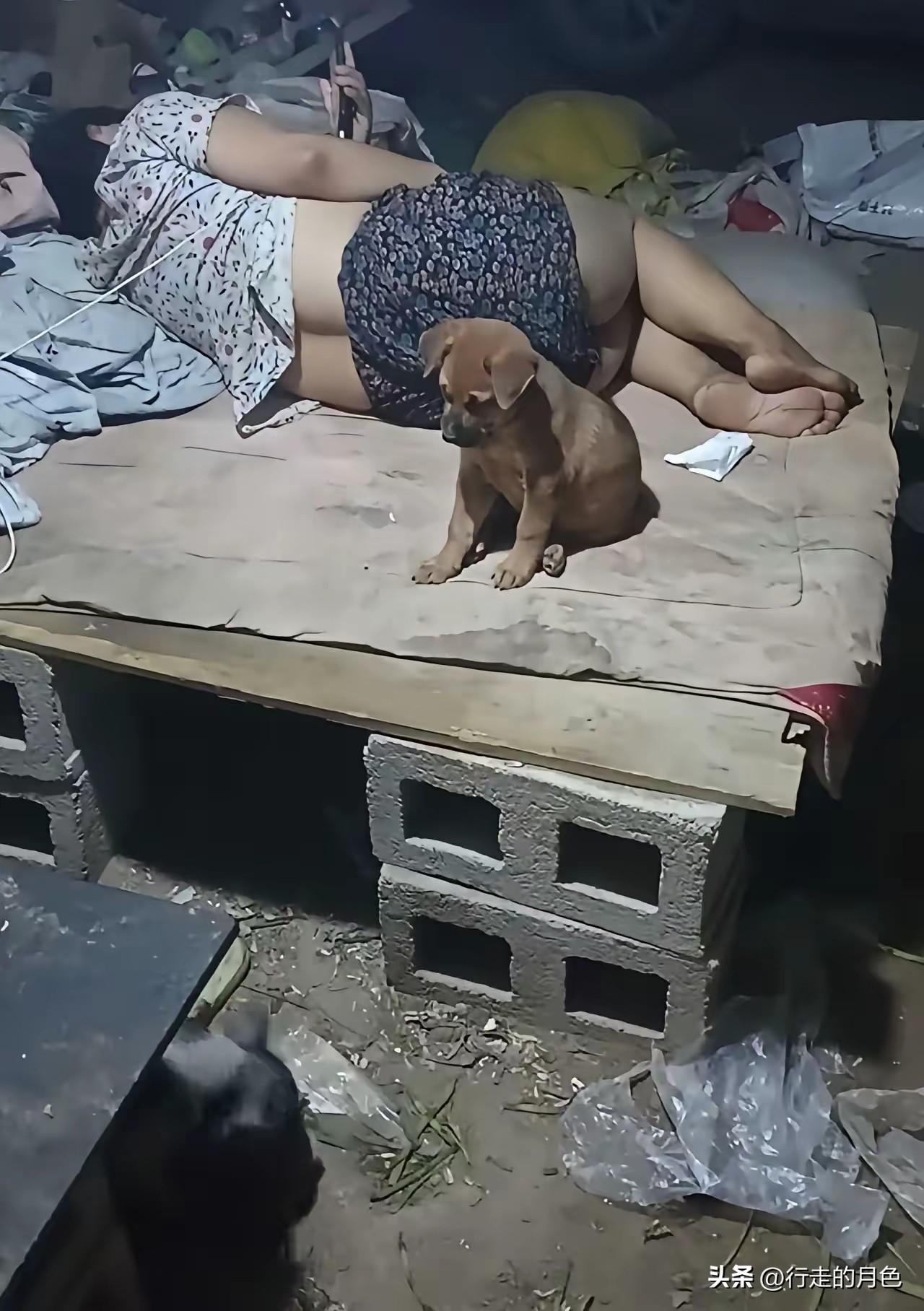 婆婆说能陪他儿子吃苦的是个好女人