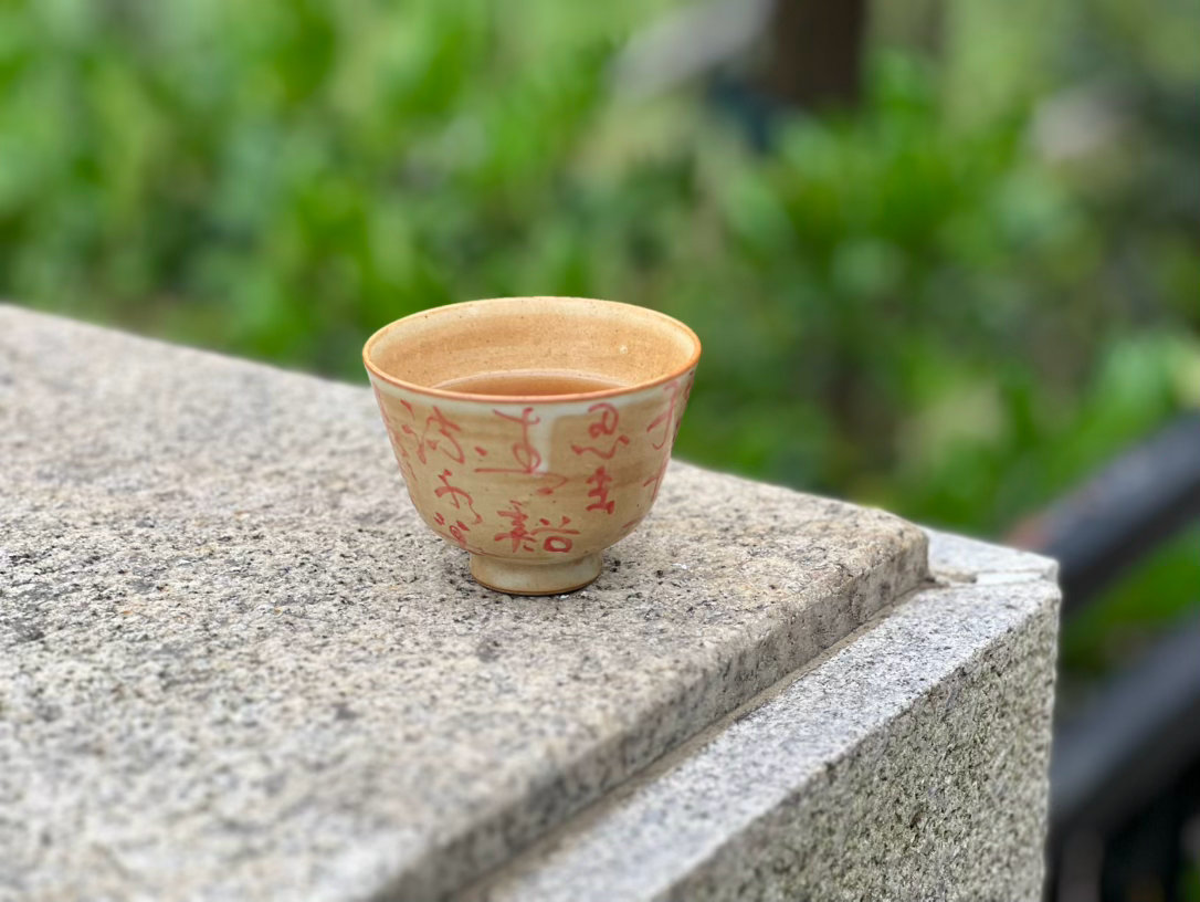 在山林里静坐，听听鸟叫，吹吹风，醒酒，此刻天空有乌云在流动。昨晚喝酒尽兴，今天已