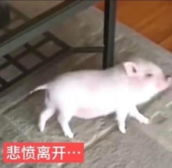 英雄无归看得我好无语好懵逼啊呃呃呃 