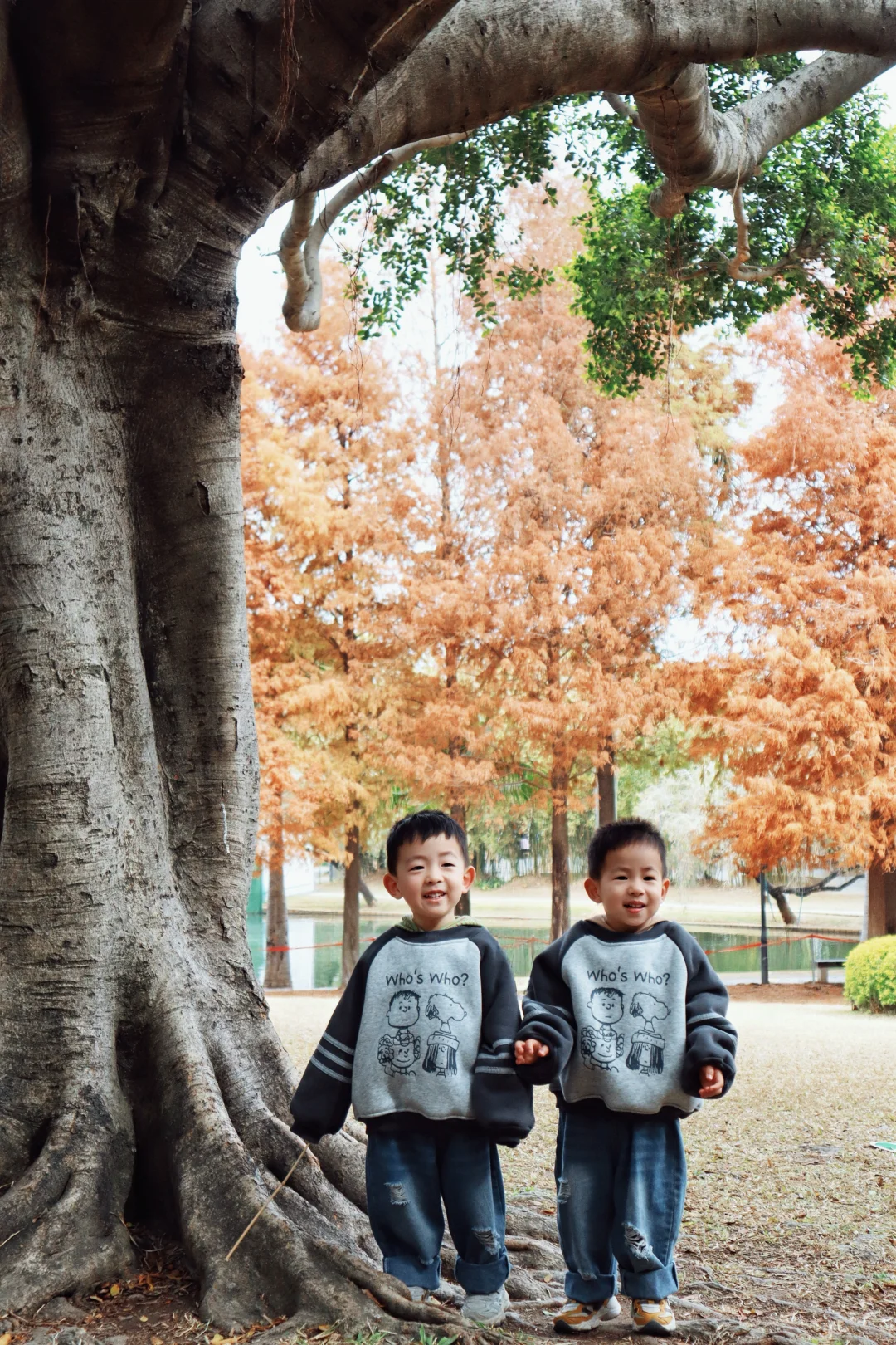 这个季节的浪漫 是落羽杉给的🍂